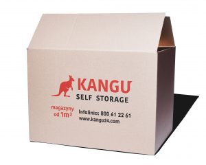 Kangu24.com, materiały do pakowania, karton1